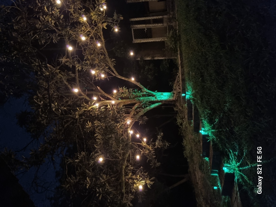 Portal Hari OM - Imagem 1